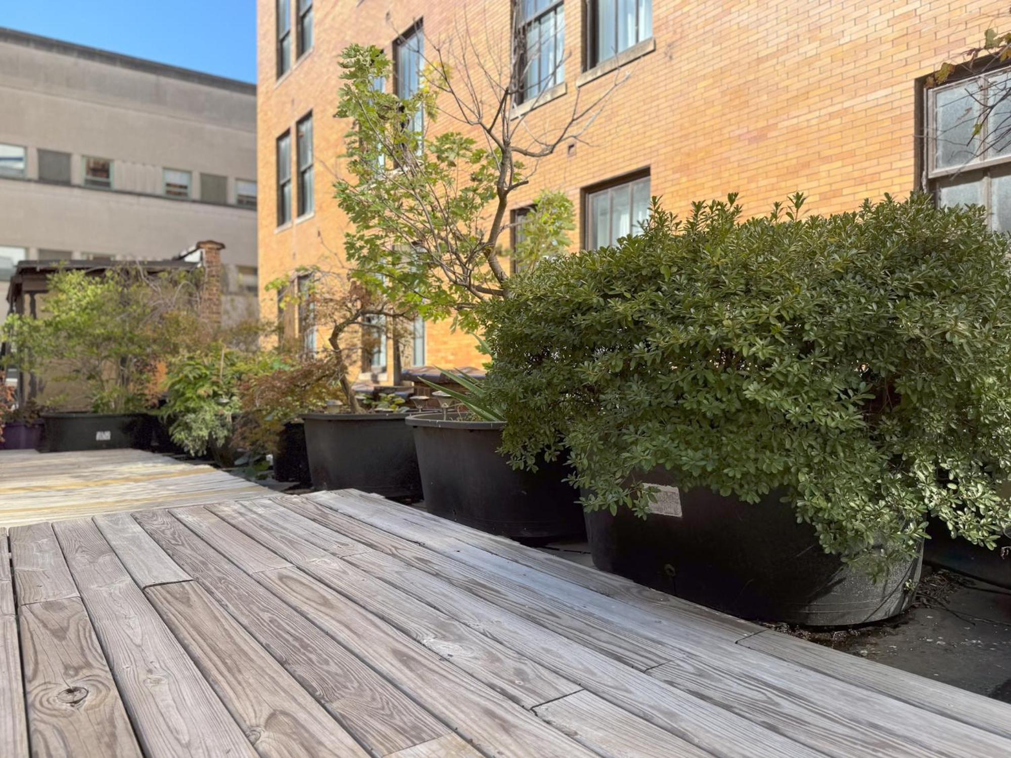 The Historic Lyric Penthouse With Private Rooftop Cincinnati Exteriör bild